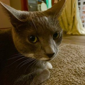 Meet your Posher, Colton